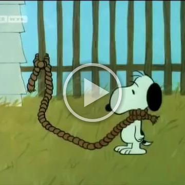 Snoopy-Come-Home-Sei-doch-bitte-nicht-so-kuehl-YouTube